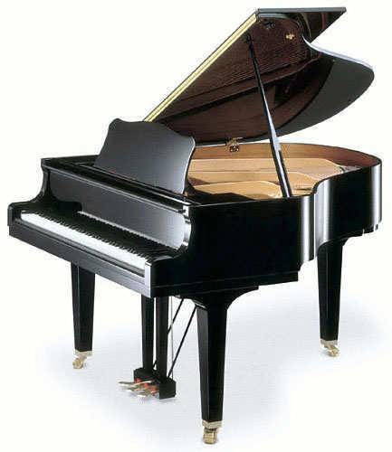 Pianostemmer en pianostemmen Apeldoorn EUR 50, Diensten en Vakmensen, Reparatie en Onderhoud | Muziekinstrumenten, Toetsinstrumenten