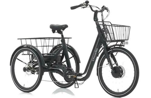 Qivelo Senior Fold elektrische driewieler fiets vouwbaar BU, Fietsen en Brommers, Fietsen | Driewielfietsen, Nieuw, Ophalen of Verzenden