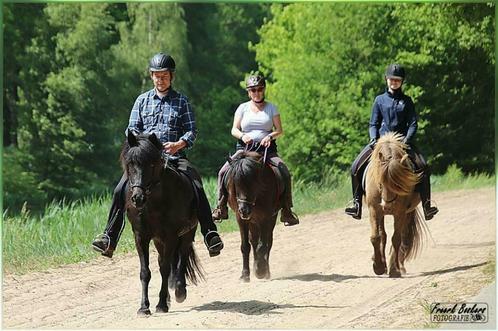 Buiten ritten met IJslandse paarden., Diensten en Vakmensen, Dieren | Paarden | Verzorging, Oppas en Les