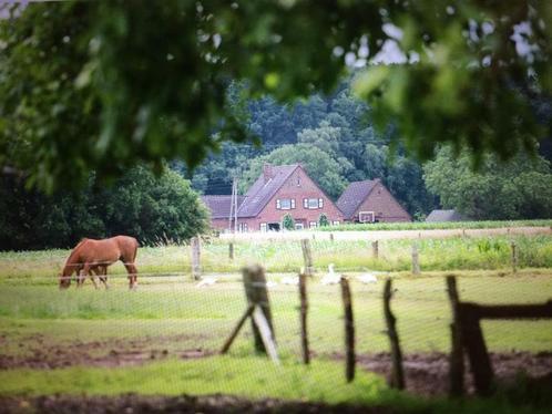 Groepsaccommodatie tm 19 personen, Vakantie, Vakantiehuizen | Nederland, Gelderland en Veluwe, Boerderij of Cottage, Landelijk