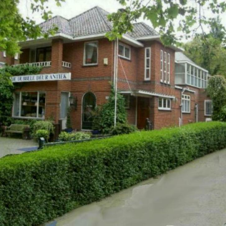 Nu te zien: meer dan 200 Histiorisch mooie meubelen! De Dubbele Deur AntiekSite-nl