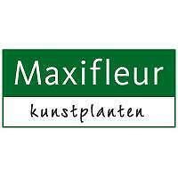 Maxifleur Kunstplanten BV