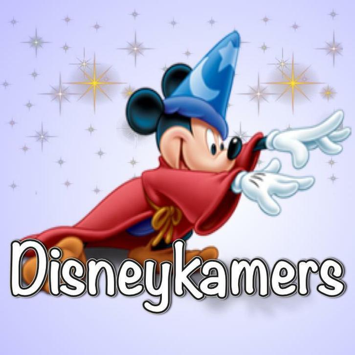 where dreams come true Disneykamers