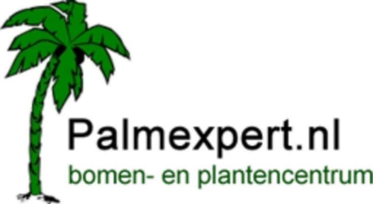 Palmexpert