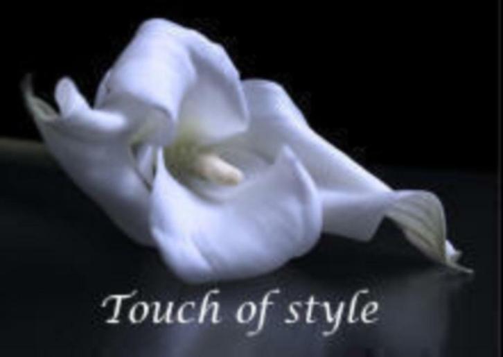 Touch of style