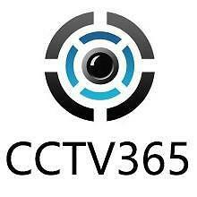 CCTV365