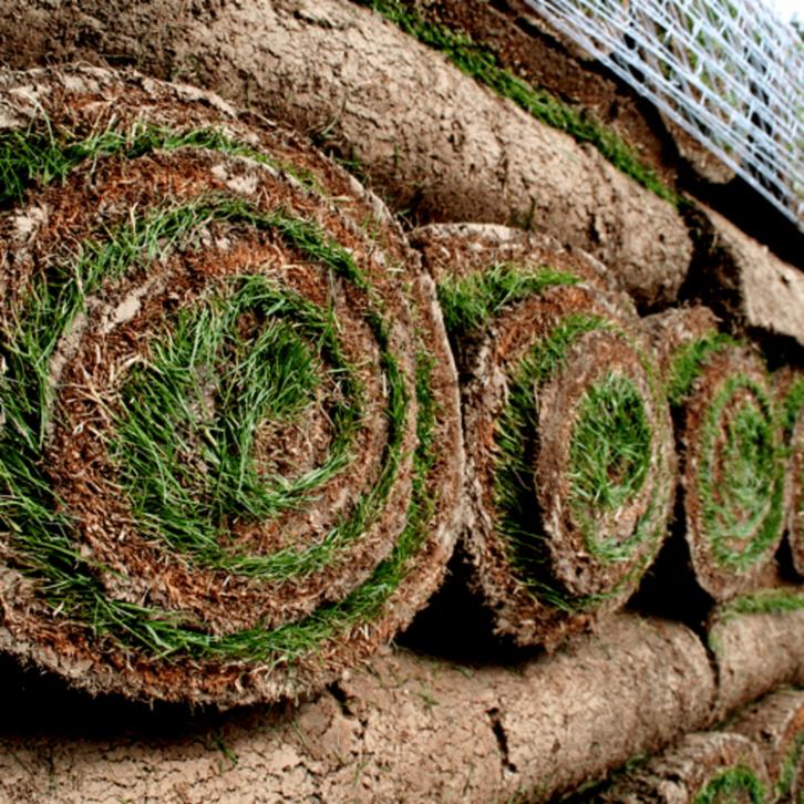 Alle tuinen echt gras Grasleverennl