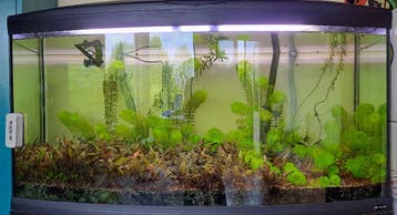 Groot aquarium gratis op te halen
