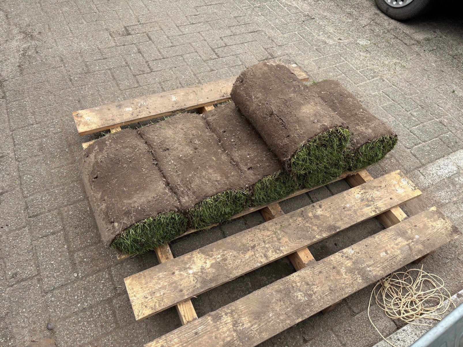 Graszoden 6 m2