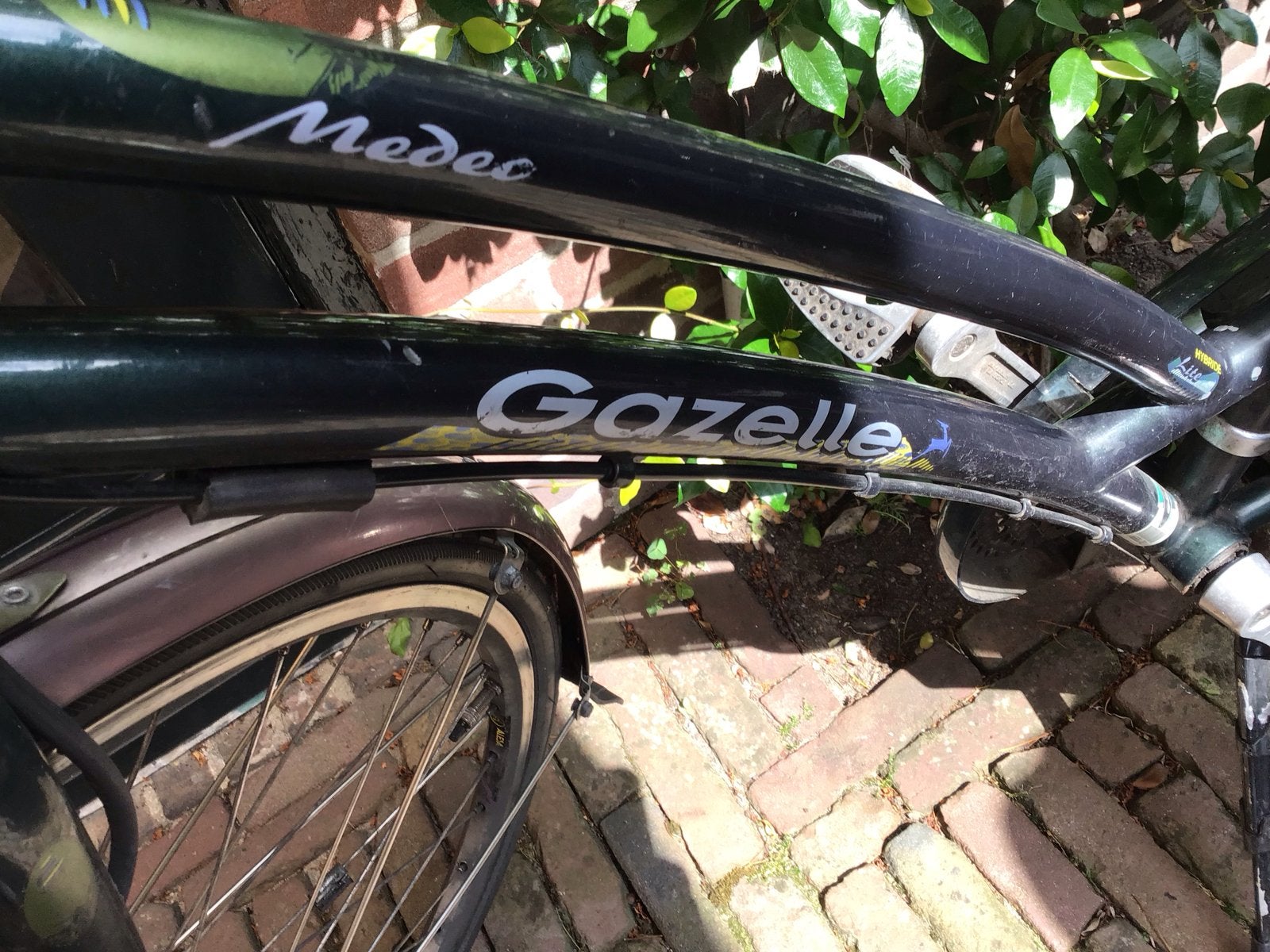 Gazelle fiets met voordrager - Roestvrijstaal