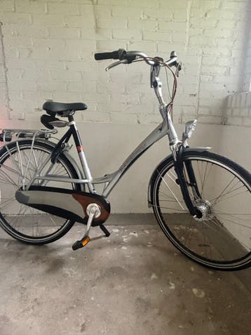 Nette Batavus Famesfiets