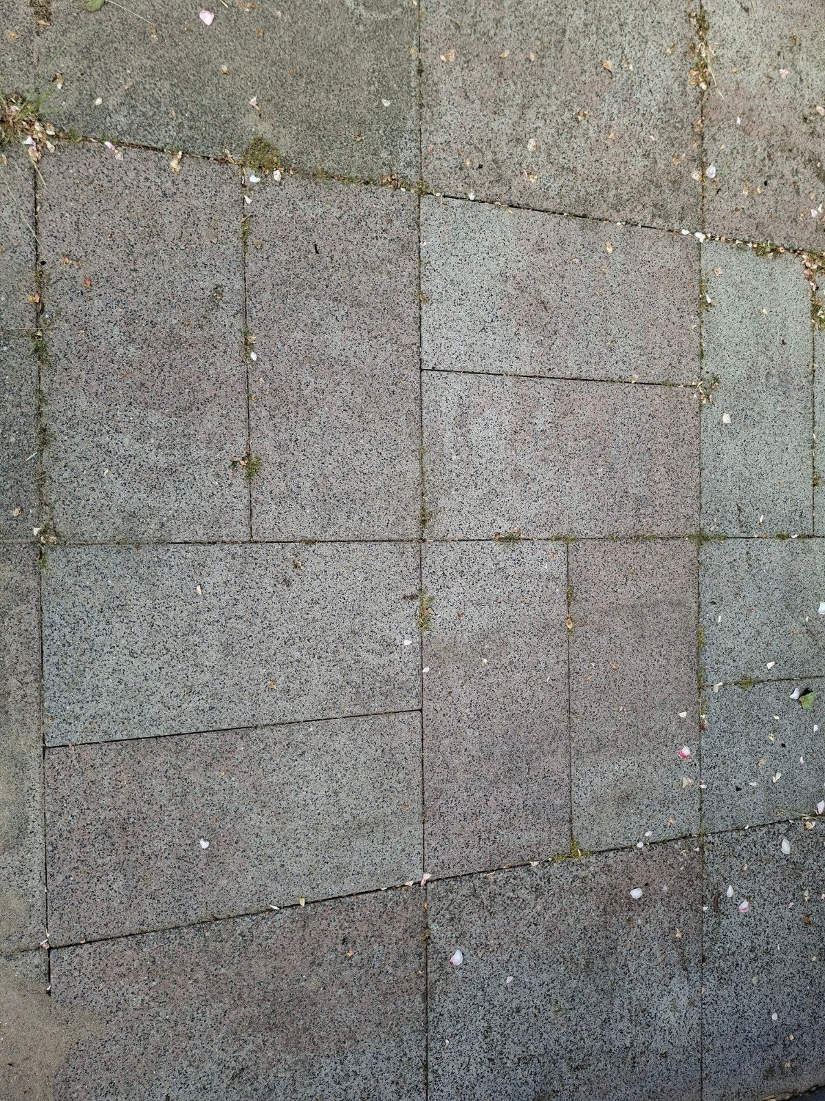 62 tuintegels van maat 60cm x 30cm gratis af te halen.