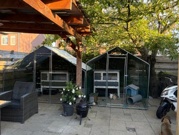 Vakantie opvang “ de konijnen camping “