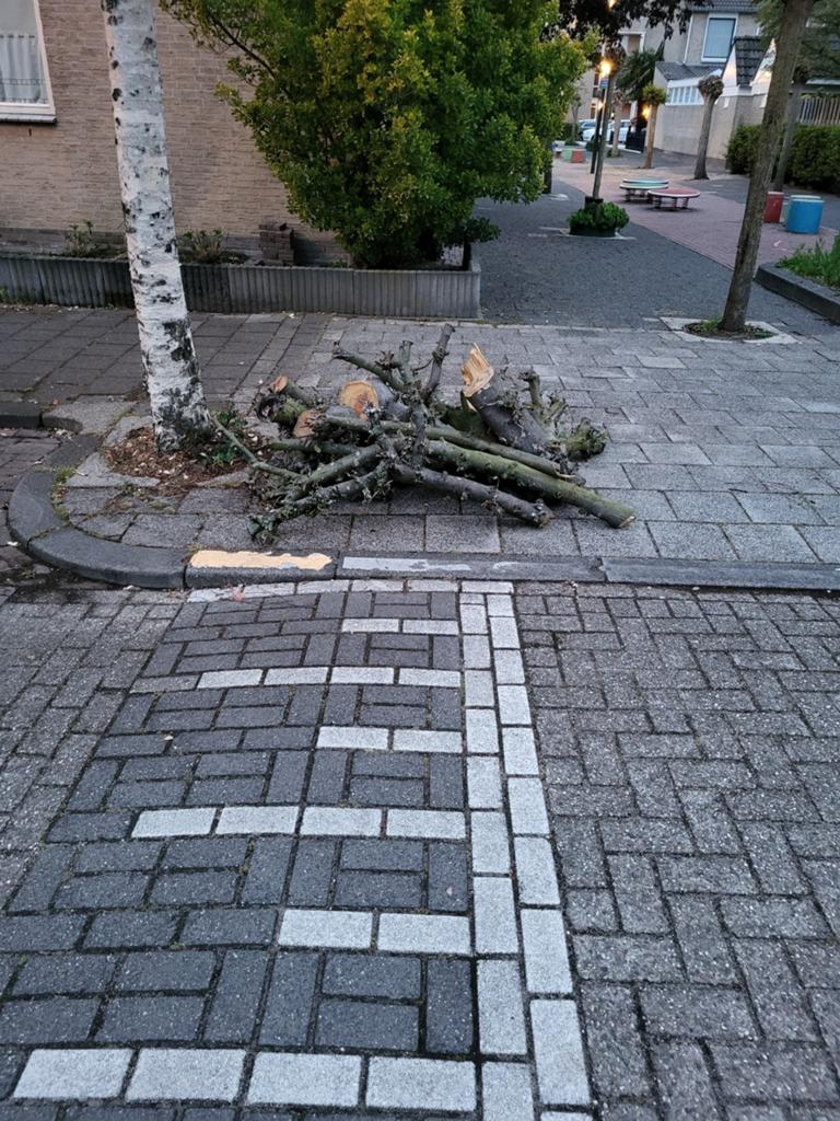 Gratis ophalen openhaard hout