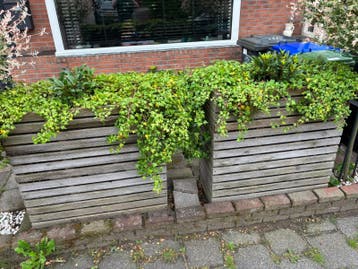 Houten Bloembakken voor Tuin of Balkon (2 stuks)