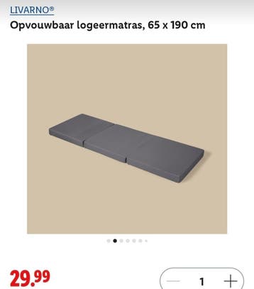 LIVARNO Opvouwbaar logeermatras, 65 x 190 cm
