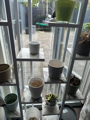 Plant stand