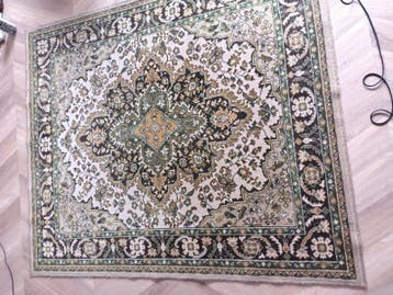 groen Perzisch vloerkleed voor handige Hermien/Harry