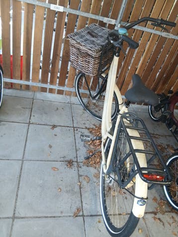 BSP Seine Evolution moederfiets / transportfiets opknapper