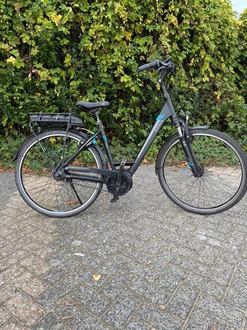 pegasus elektrische fiets