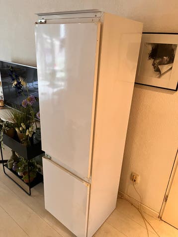 Pelgrim Inbouwkoelkast 54x178 met vriesvak