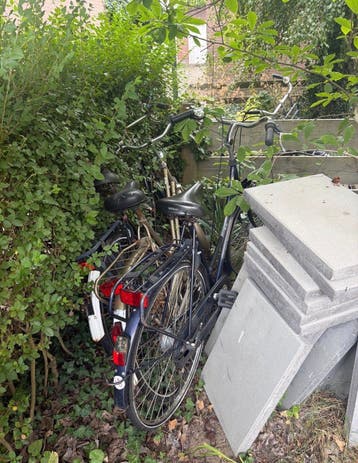 Drie damesfietsen - Gratis af te halen