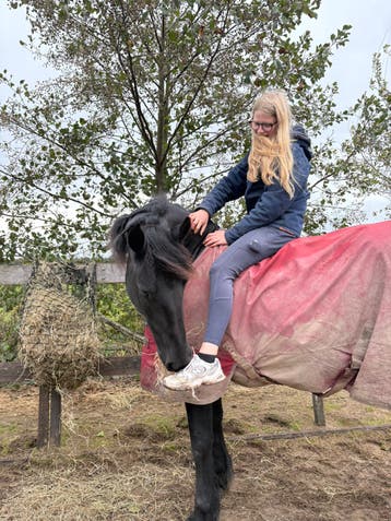 Verzorg/bijrijd paard gezocht