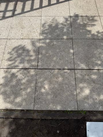 Lichte 50x50 cm betontegels, ca. 20 m2