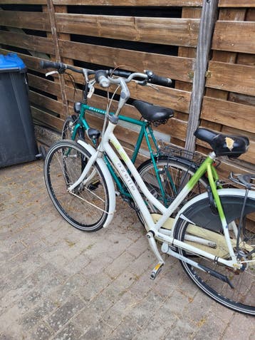 Loop/sloop