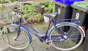 BLAUWE FONGERS MAJESTIC DAMESFIETS