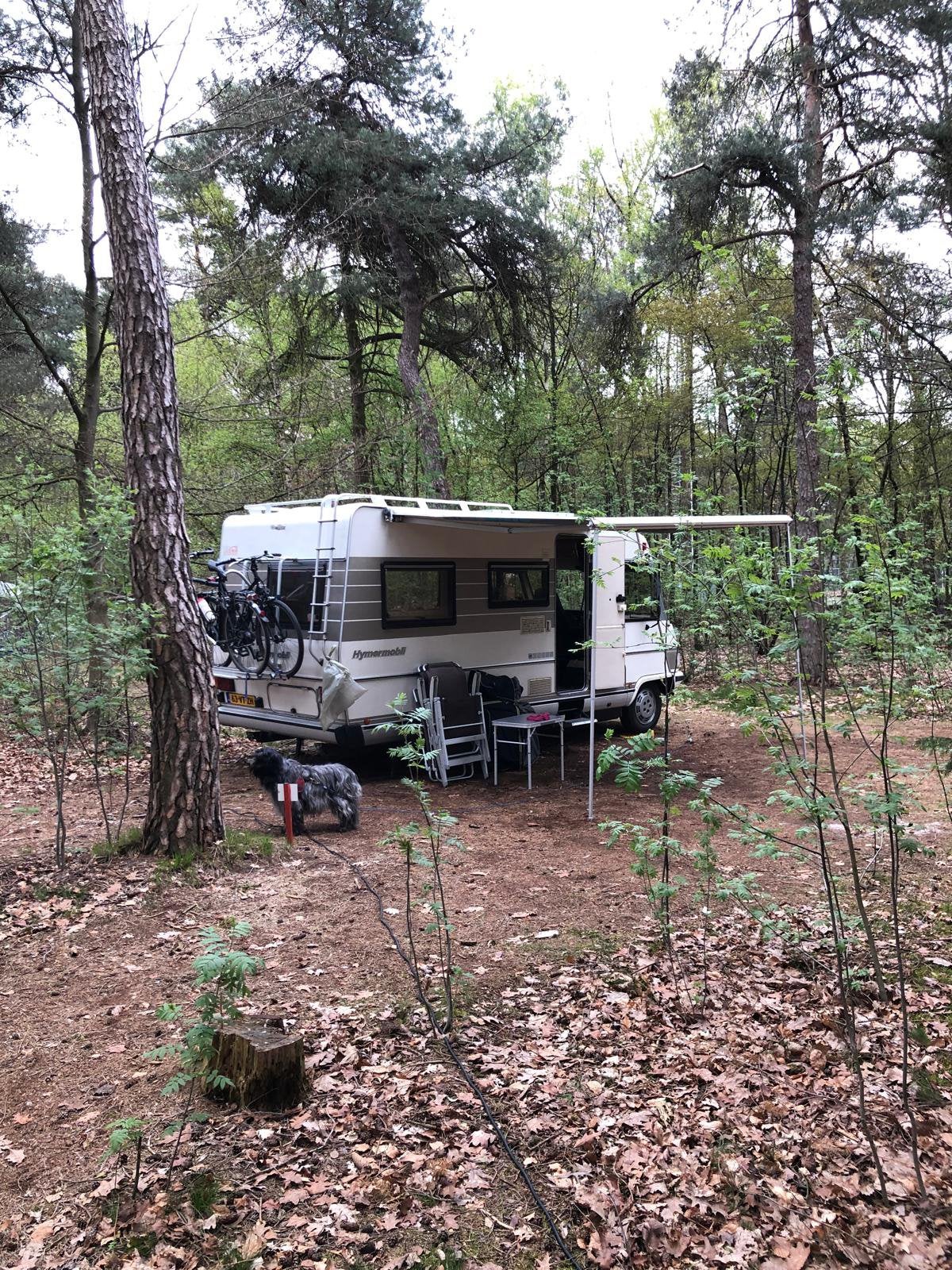 Uitstekende Hymer retrocamper-APK gekeurd tot 20 april 2028