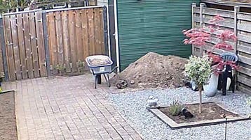 ZAND, gratis af te halen