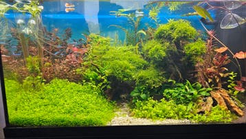Nieuw aquarium WhatsApp netwerk Noord-Holland & Flevoland