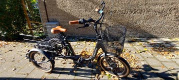 Electrische driewieler Rixtel