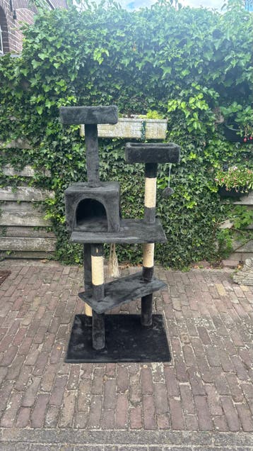 Krabpaal voor kat