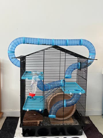 Hamster + kooi