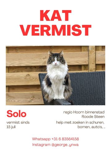 Vermiste kat Hoorn Roode Steen Binnenstad