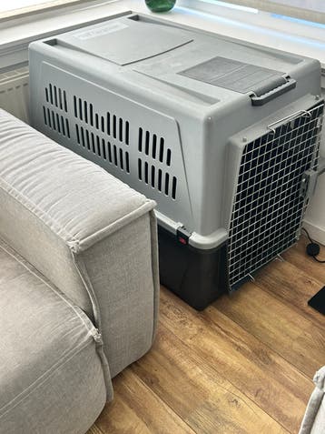 Bench voor de hond