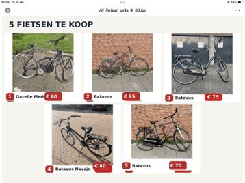 mooie fietsen te koop – Batavus, Gazelle en meer – vanaf
