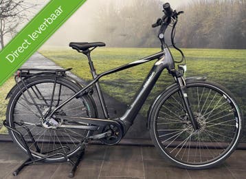 Pegasus Ravenna | Riem-aandrijving | Elektrische Herenfiets