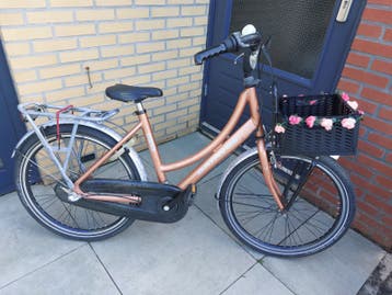 Batavus diva wielmaat 24inch