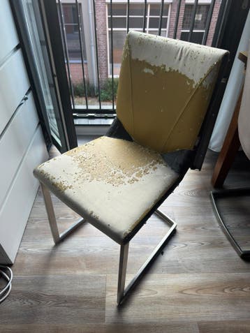 GRATIS: 6 Xooon design eetkamerstoelen RVS + hoezen