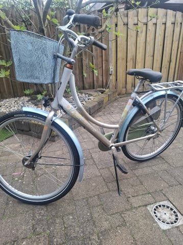 Botavus fiets frame 50