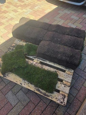 Premium gras