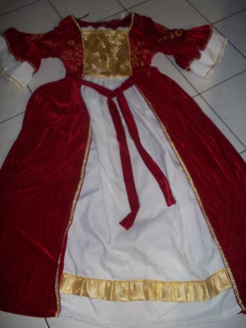 carnaval kleding dames 38/40