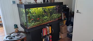 Aquariumbak met meubel