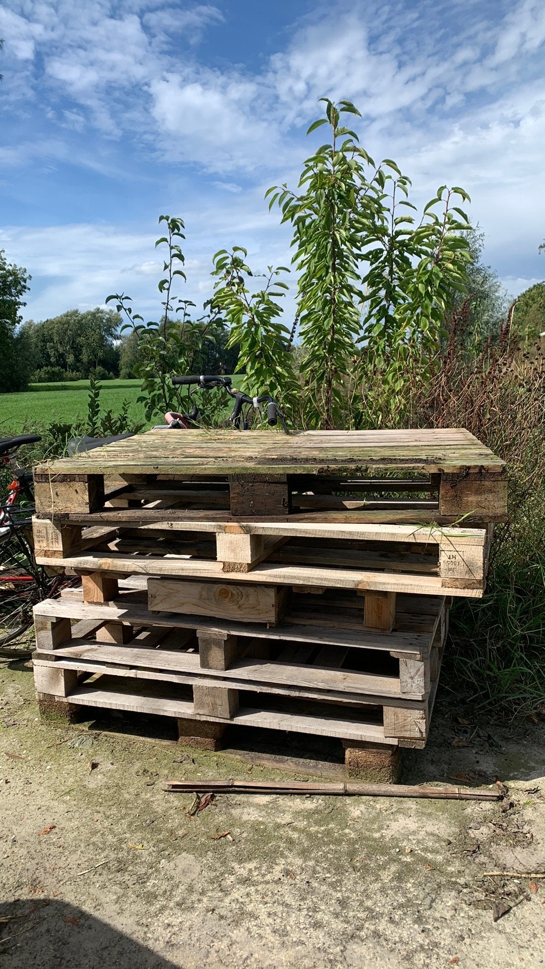 Pallets, gratis ophalen