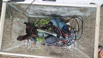 Aquarium met inrichting