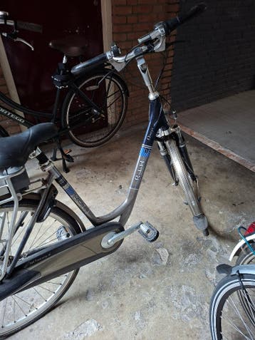 Electriche dames fiets Rihfiets Omega