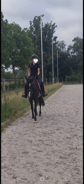 Verzorg rij pony gezogt !